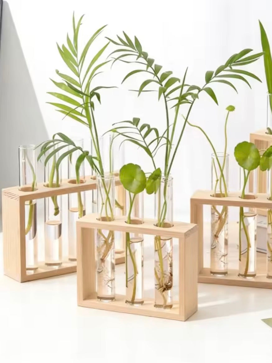 Wood and glass vase, set