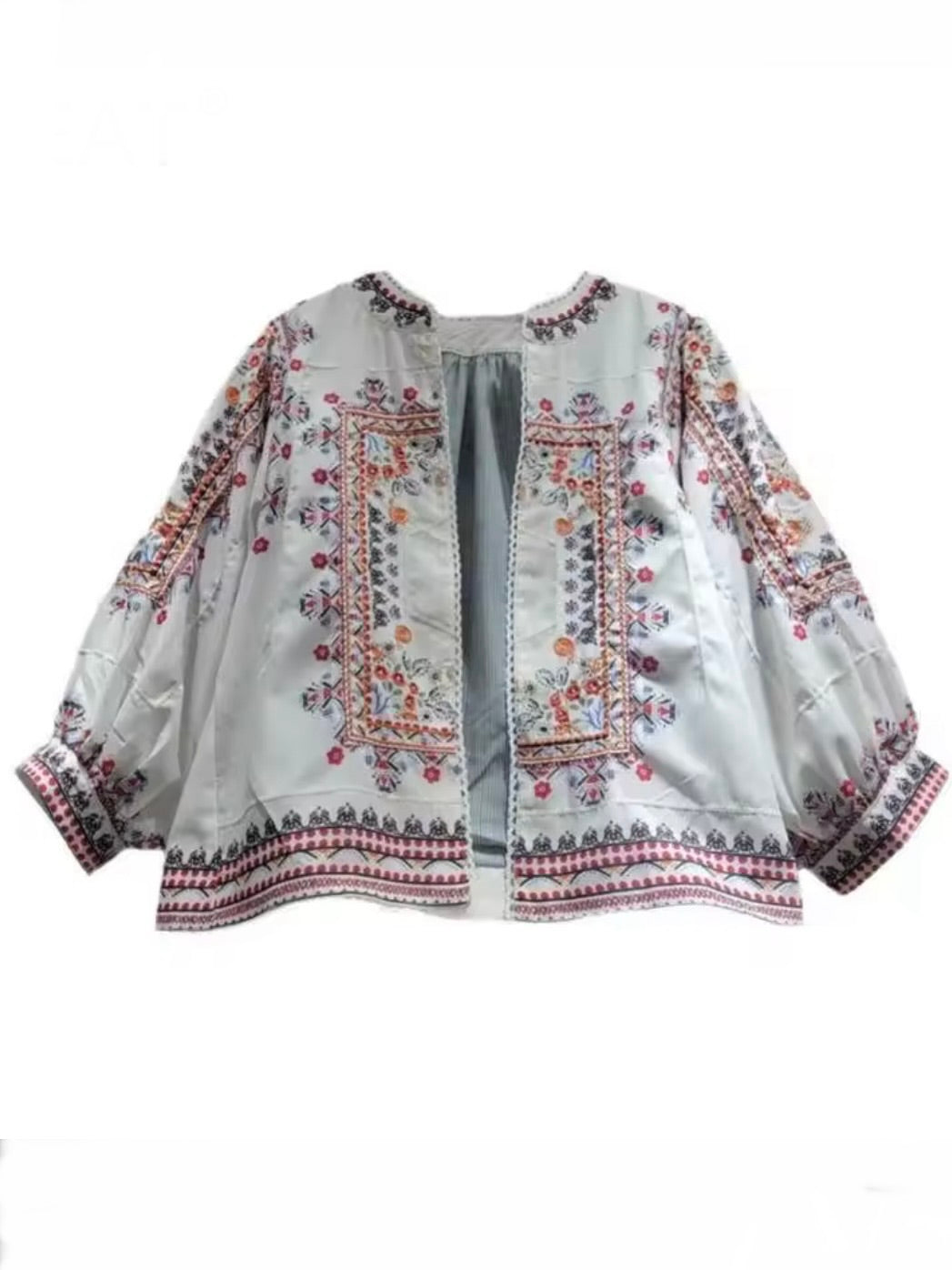 Light Blue denim embroidered jacket