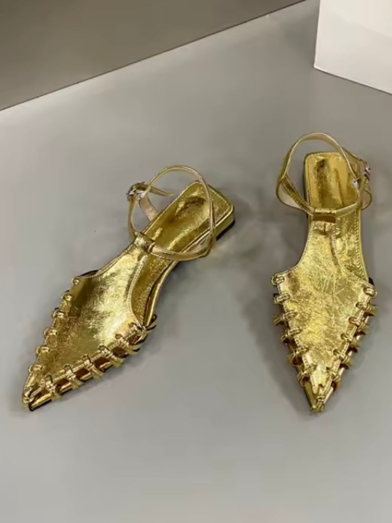 Pointed Silver and gold flats shoes slingback