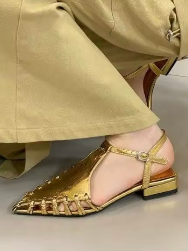 Pointed Silver and gold flats shoes slingback
