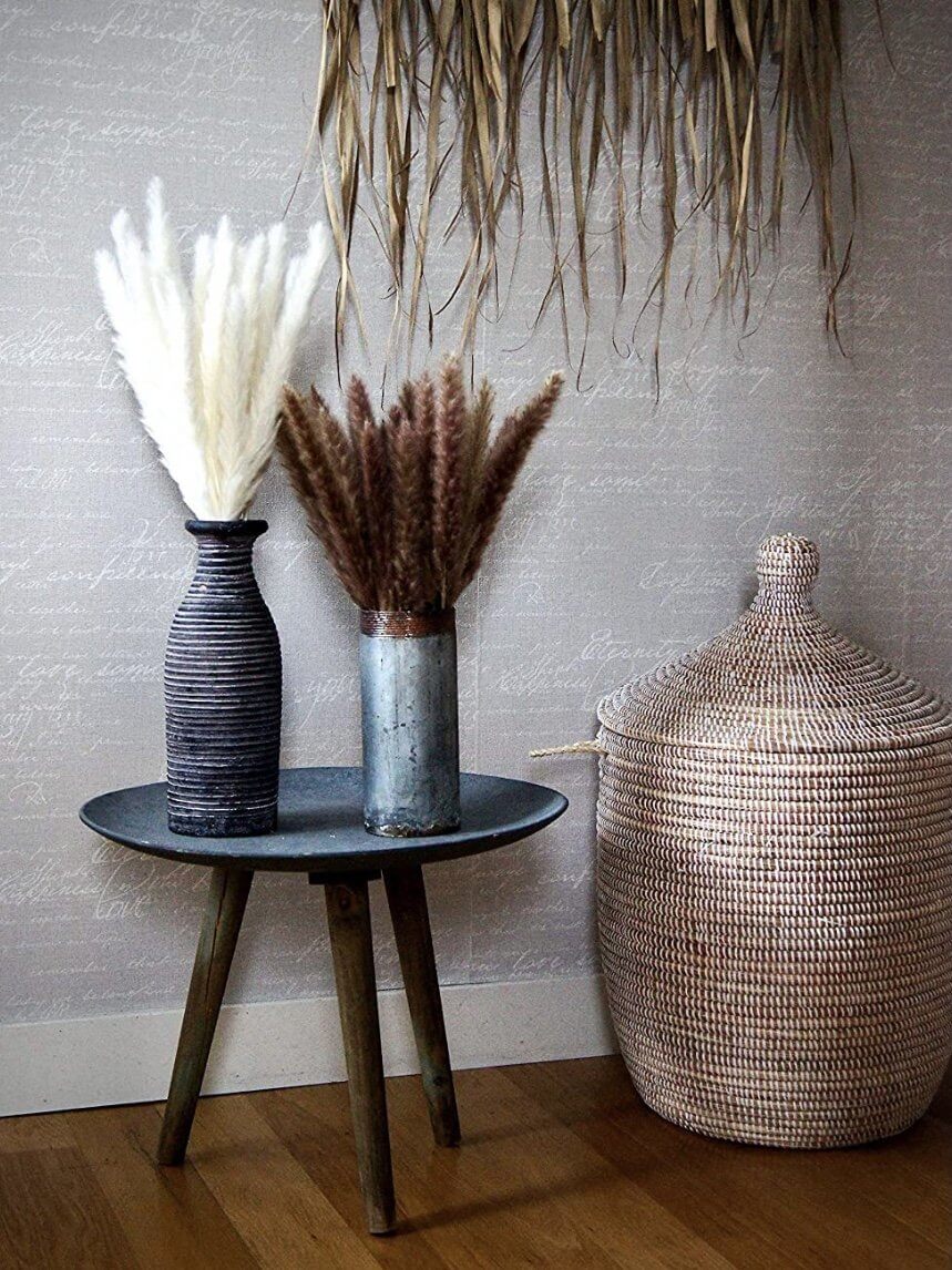 Decorative pampas grass - Wapas