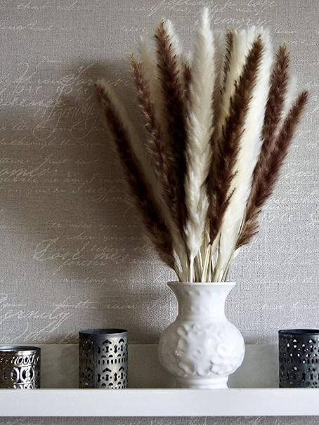 Decorative pampas grass - Wapas