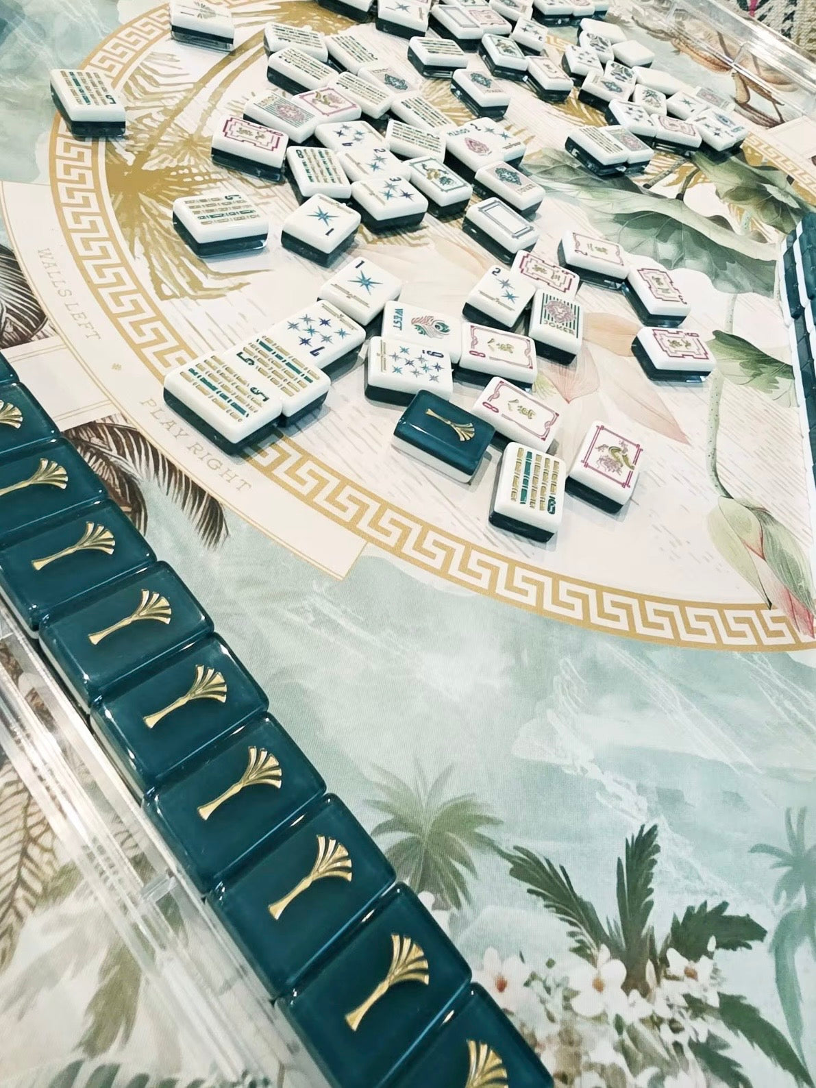 Burgundy and dark green, lions and dragons Mahjong tiles set
