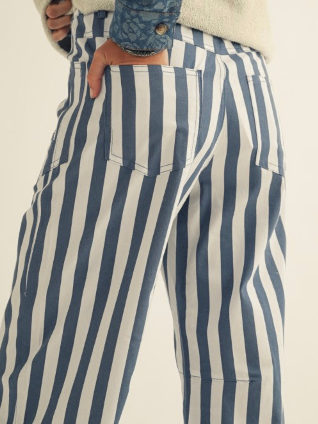 White and blue striped print Pattern Barrel Pants