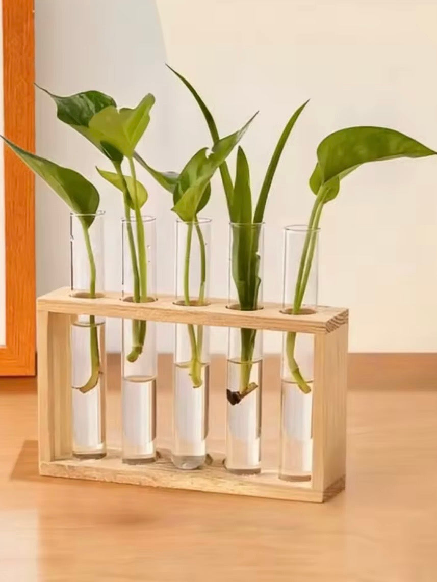 Wood and glass vase, set