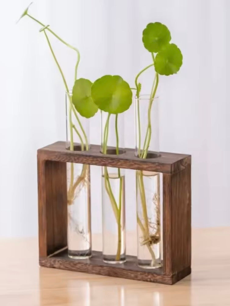 Wood and glass vase, set