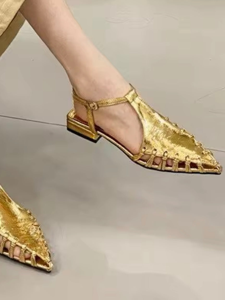 Pointed Silver and gold flats shoes slingback