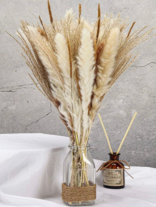 Decorative khaki, beige, brown and white Pampas Grass - Wapas