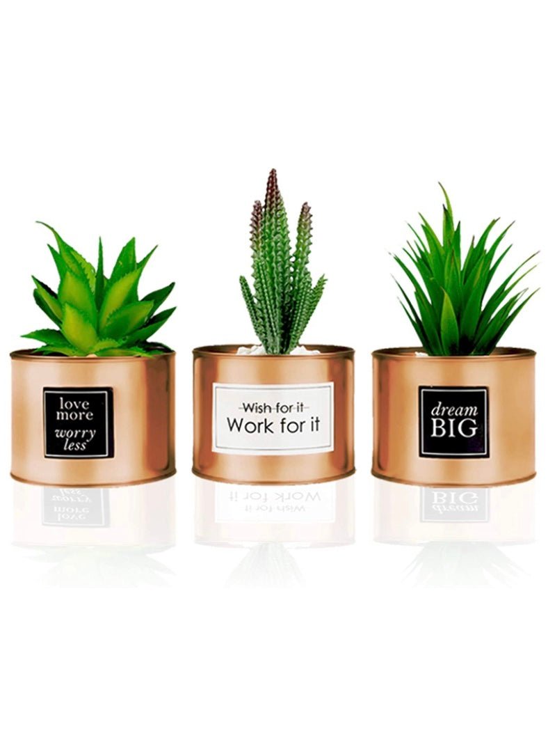 Decorative plants. Set of 3 - Wapas