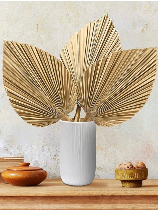 Leaves fan - Wapas