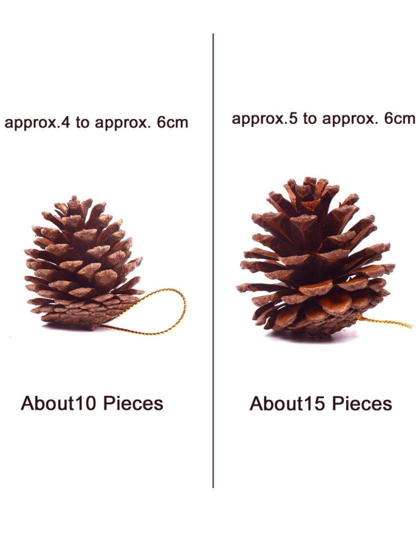 Natural pine cones 25 pcs - Wapas