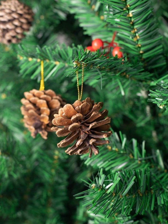 Natural pine cones 25 pcs - Wapas