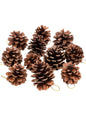 Natural pine cones 25 pcs - Wapas