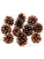 Natural pine cones 25 pcs - Wapas