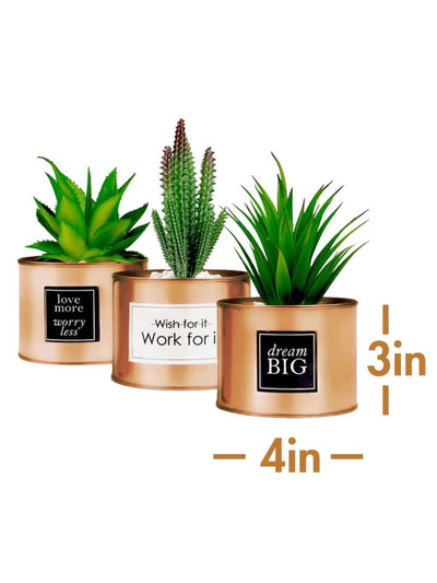 Decorative plants. Set of 3
