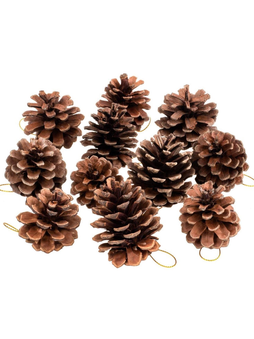 Natural pine cones 25 pcs