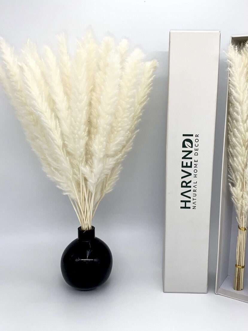 Blank Decorative Pampas Grass Copy Placed in Black Vase